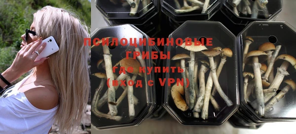mix Алексин